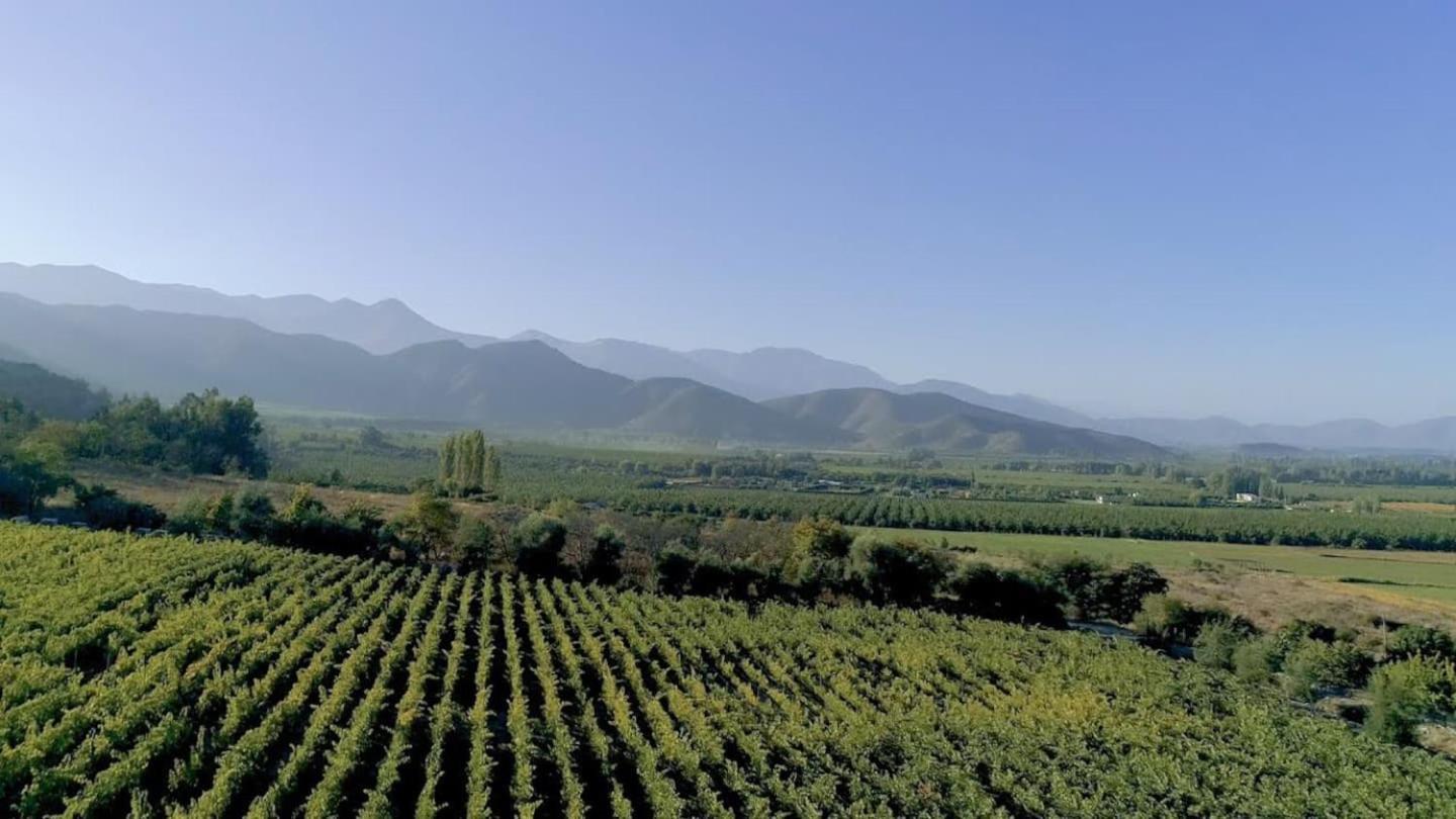 Vina Lof - Maipo Valley Bed & Breakfast In Winery Paine ภายนอก รูปภาพ