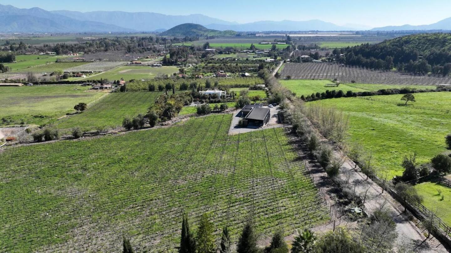 Vina Lof - Maipo Valley Bed & Breakfast In Winery Paine ภายนอก รูปภาพ