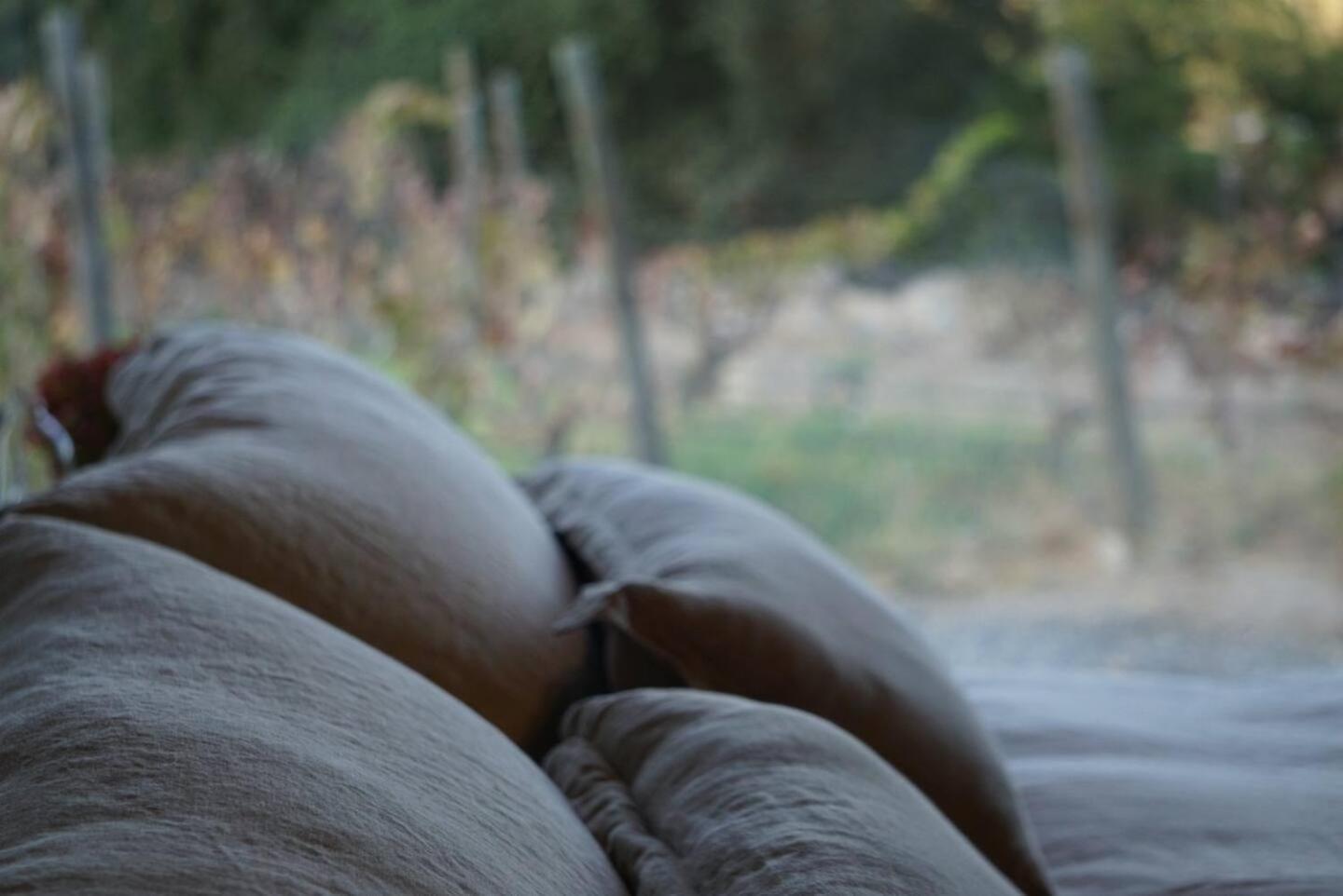 Vina Lof - Maipo Valley Bed & Breakfast In Winery Paine ภายนอก รูปภาพ
