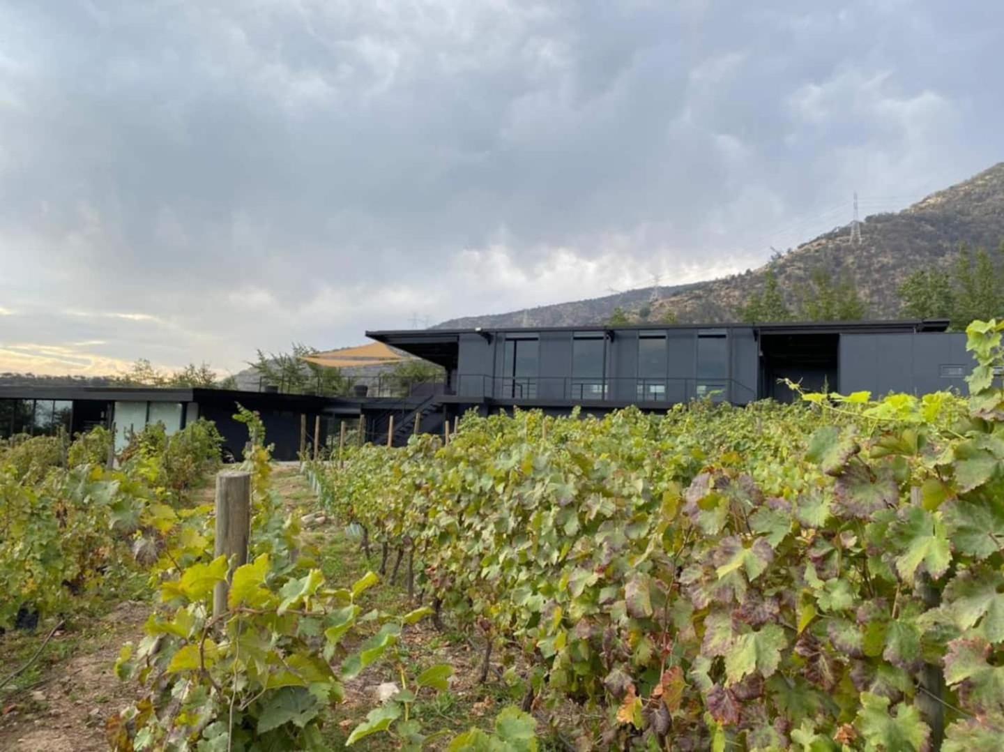 Vina Lof - Maipo Valley Bed & Breakfast In Winery Paine ภายนอก รูปภาพ