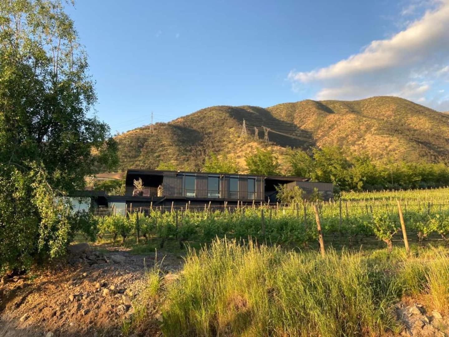 Vina Lof - Maipo Valley Bed & Breakfast In Winery Paine ภายนอก รูปภาพ